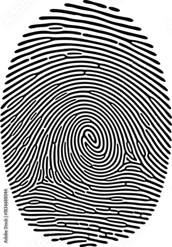 Detailed fingerprint pattern illustration with unique biometric swirl lines, forensic identification symbol, high-contrast vector design for security, technology, authentication concepts