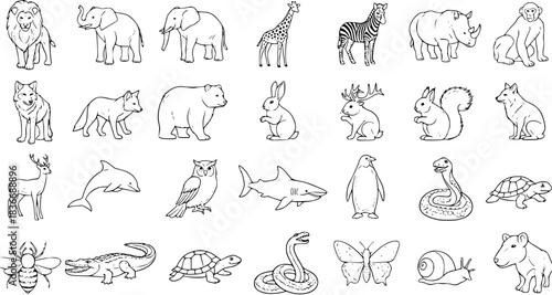 Black and White Line Art Outline Sketch Icons Set of Various Wildlife Animals for Education and Nature Projects