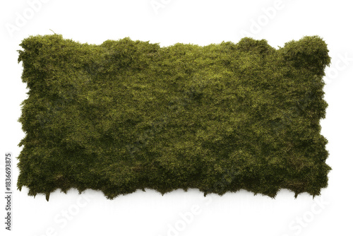 Rugged moss banner with natural torn edges, layered organic texture, subtle lighting, transparent HD background