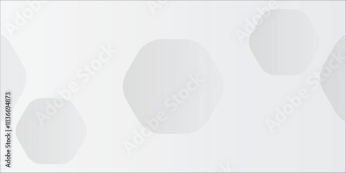 White geometric abstract background overlap layer on bright space with lines effect decoration. Modern graphic design element circles style concept for banner.