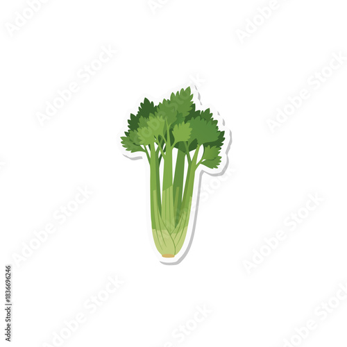 Fresh Green Celery Stalks with Leaves Isolated on Black Background Vibrant Healthy Vegetable Ingredient for Cooking and Nutrition