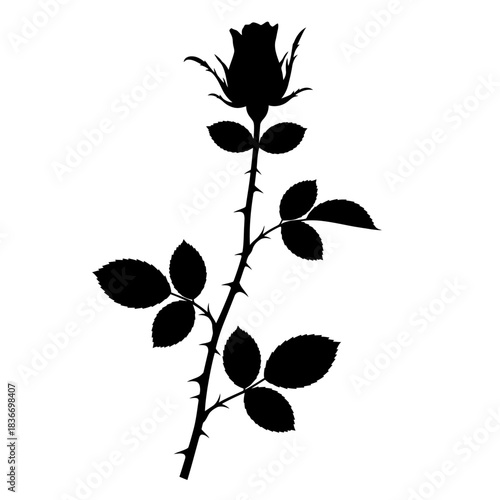 Elegant rose silhouette illustration against white backdrop for stock usage
