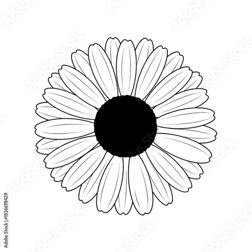 Minimalist daisy illustration with bold outlines on a pure white backdrop