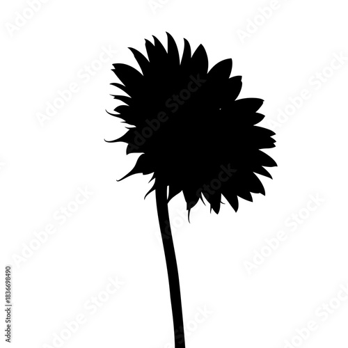 Striking sunflower silhouette against bright backdrop, a study in contrast