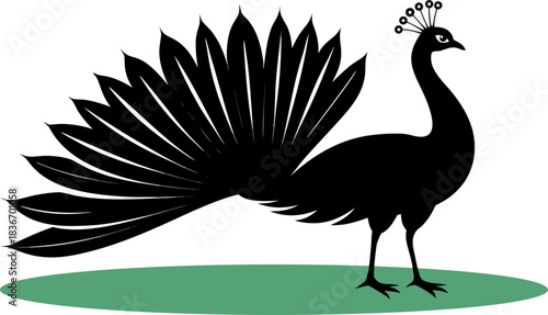 From t-shirts to greeting cards, this monochrome peacock design gives a premium feel to any of your products. In good SVG/ESP quality.