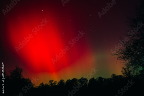 Colorful Northern Lights Over Indiana  Tree Landscape