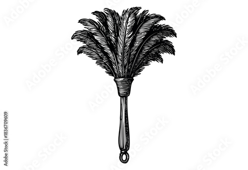 A detailed black and white feather duster is displayed in a vintage, engraved style — stock illustration.