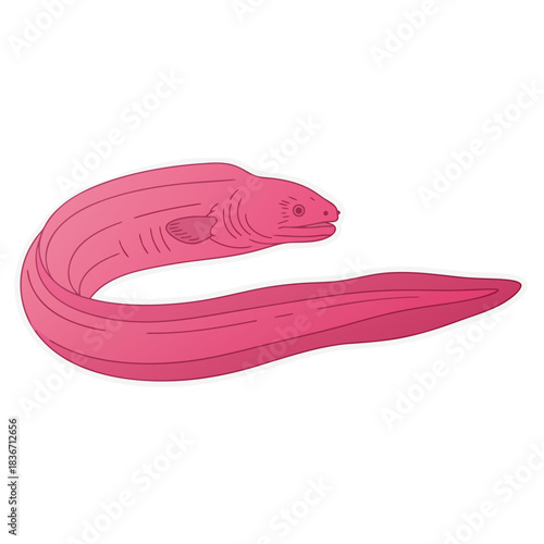 Pink Moray Eel Illustration With White Outline On Black Background Simple Minimalist Design Marine Life Underwater Creature Aquatic Animal Ocean Dweller