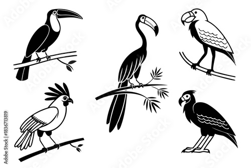 40---jungle-birds-6-icon---parrot--toucan--hornbil (1)