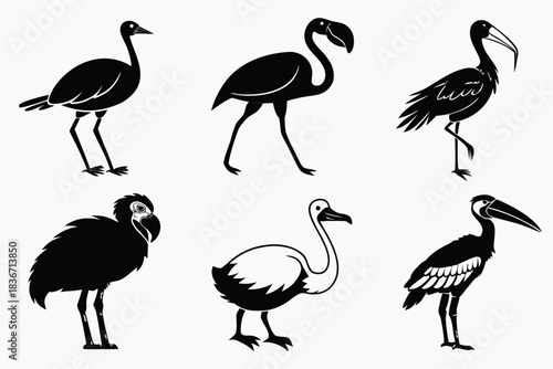3---savanna-birds-6-icon---ostrich--flamingo--stor