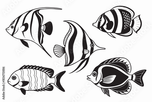 12---tropical-fish-6-icon---angelfish--clownfish-- (4)