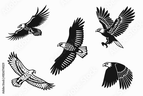 27---birds-of-prey-6-icon---eagle--hawk--falcon--o (1)