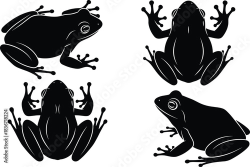 Set of black frog silhouettes, isolated vector illustration of amphibian toads, wild nature animal icons, flat design glyphs for logo graphic elements collection