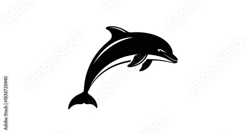 A sleek black dolphin leaping gracefully out of the water.