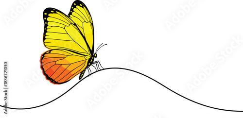 Beautiful yellow and orange butterfly landing on a minimalist black wavy line, symbolizing nature, freedom, summer, and graceful elegance on a white background.