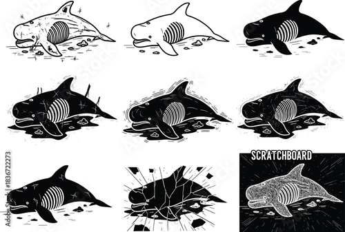 Scratchboard whale illustration process, step-by-step drawing stages, monochrome vector art, beached whale concept, detailed ink texture, artistic technique showcase