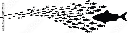 School of fish swimming in dynamic formation with large leading fish silhouette, marine life vector illustration, underwater wildlife design, ocean nature concept, minimal style