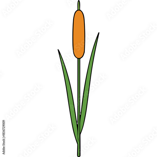 Simple Orange Cattail Plant with Green Leaves Against a Solid Black Background Illustrating Nature and Simplicity