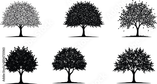 Set of deciduous tree silhouettes with diverse foliage shapes, botanical vector art for nature, forest, landscape, and environment design.