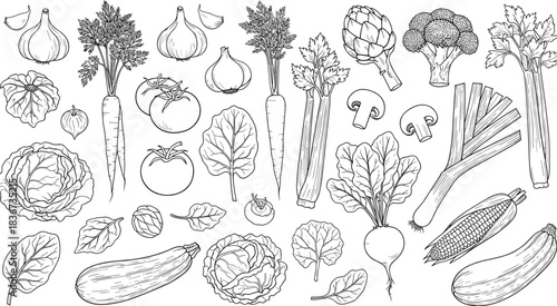 hand drawn vegetables, botanical sketch, organic produce illustration, vintage veggie art, healthy food drawing, farm fresh herbs, culinary garden elements