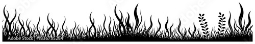 Black grass and wild meadow plants silhouette border vector grass