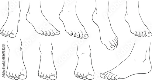 human foot anatomy, foot sketch, foot drawing, foot illustration, foot positions, foot angles, foot study, foot reference, foot art, foot pose, anatomical foot, foot structure 