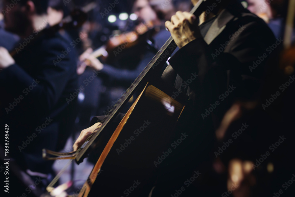 Fototapeta premium Concert view of contrabass violoncello player with vocalist and musical band during string concert, jazz orchestra performing music, violoncellist cello jazz player on stage in club, music arena hall