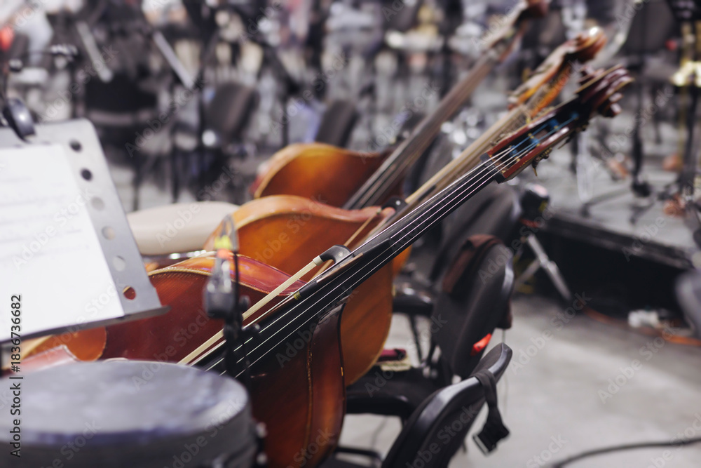 Fototapeta premium Concert view of contrabass violoncello player with vocalist and musical band during string concert, jazz orchestra performing music, violoncellist cello jazz player on stage in club, music arena hall