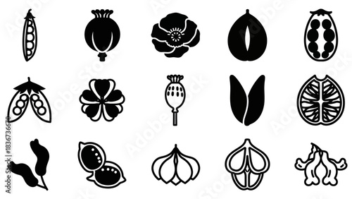 Collection of simple black and white botanical vector icons featuring pods, seeds and flowers for