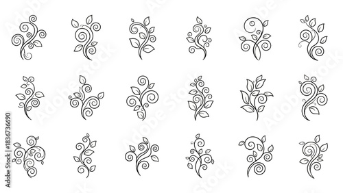 Collection of stylized floral ornaments and botanical elements for graphic design usage
