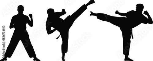Martial arts silhouettes in kicking and fighting stances — karate, taekwondo, and self-defense posture reference for training and technique