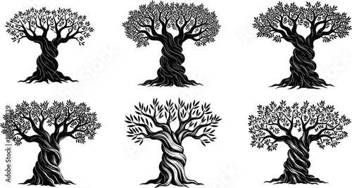 Stylized olive tree illustrations with twisted trunks and dense foliage in black vector art for nature, Mediterranean, and design themes.