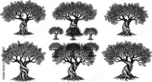 Stylized twisted tree illustrations with dense foliage, artistic black and white vector design for nature, logo, and storytelling concepts.