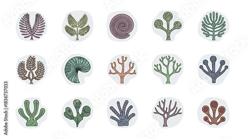 Colorful Illustration of Various Plant and Fossil Shapes on a White Background Displaying