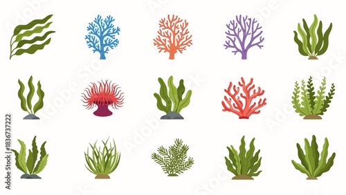 Diverse collection of cartoon seaweeds and corals offering a whimsical underwater garden visual
