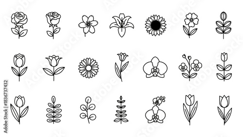 Elegant floral vector illustration featuring minimalist flower drawings in black and white style
