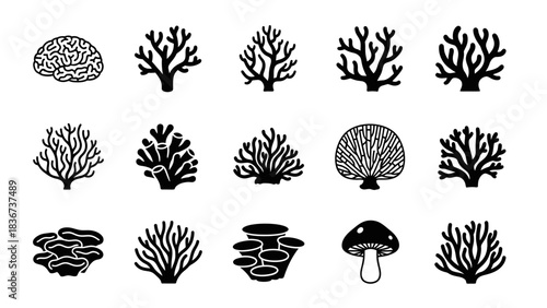Elegant vector graphics showcasing diverse brain, coral and mushroom silhouettes on white backdrop