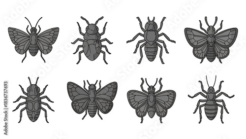 Illustration showcasing a variety of insect species with intricate wing patterns and detailed