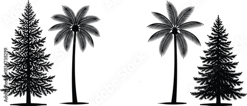 Symmetrical tree arrangement, tropical palm trees, coniferous forest trees, nature contrast, landscape balance, botanical diversity, outdoor scenery, green foliage harmony