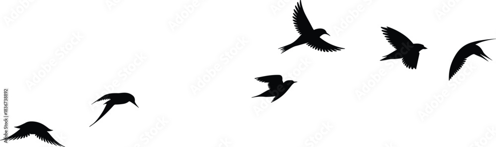 Obraz premium Black silhouettes of birds in flight against white background
