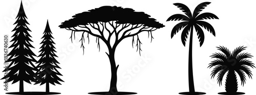 Tree silhouettes, coniferous trees, acacia tree, palm trees, tropical foliage, nature diversity, forest shapes, botanical forms, landscape elements, black silhouettes