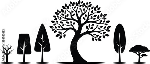 Tree silhouettes, forest diversity, nature illustration, botanical shapes, leafless branches, leafy canopy, artistic trees, environmental design, woodland graphic, plant forms