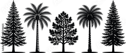 Tree silhouettes, coniferous tree, palm tree, deciduous tree, tropical forest, nature art, botanical design, landscape elements, black blue contrast