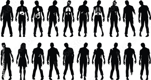 Zombie silhouette collection, anatomical zombie figures, horror anatomy illustration, undead posture design, creepy character set, spooky medical concept art