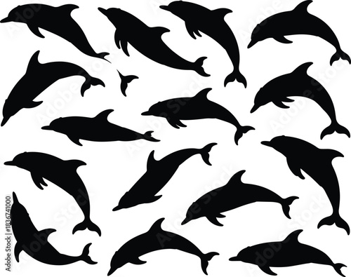Silhouettes of dolphins in varied poses and orientations — aquatic motion reference for design, education, and marine life illustration