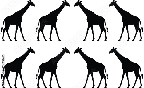 Silhouettes of giraffes in uniform side profiles — animal shape reference for design, education, and wildlife-themed illustration