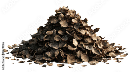 Pile of dried brown autumn leaves showing texture of organic decay and dead plant foliage on transparent background