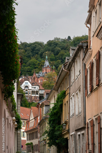 Historic Hillside Homes above Old Town Heidelberg.A picturesque alley with with a view of historic buildings on the hillside. Heidelberg, Baden- Wurttemberg, Germany.
