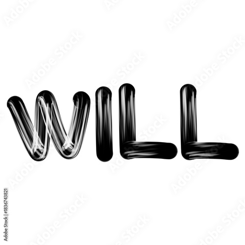Black 3D Rendered Text for the Word WILL
