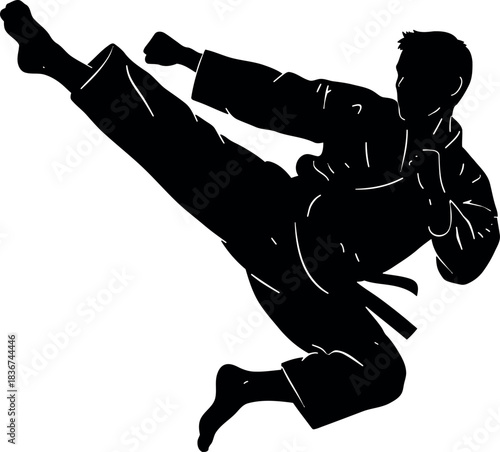 Silhouette of a person performing a dynamic martial arts kick, symbolizing action and combat sports